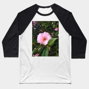 Light pink flower Baseball T-Shirt